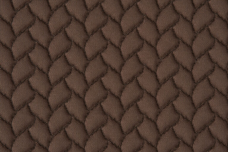 Cocoa